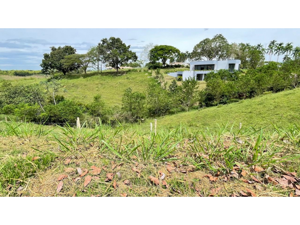 Lote en venta - Cerritos - Risaralda — foto 5