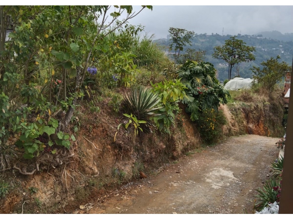 Lote en venta - El Tablazo - Manizales — foto 3