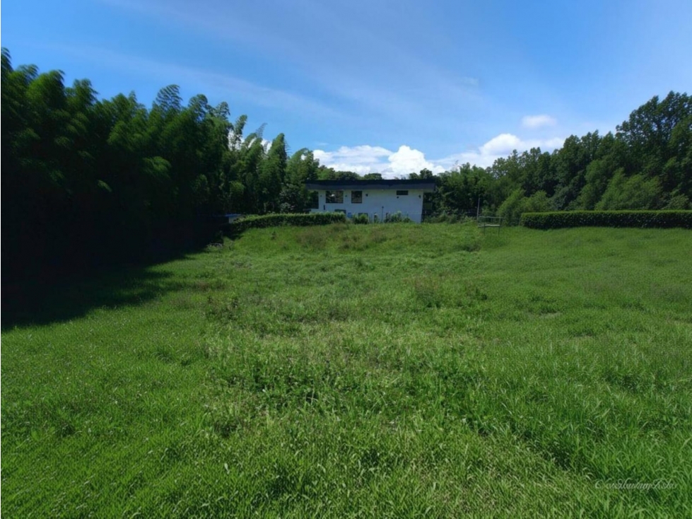 Lote en venta - Vereda el Berrion - Palestina - 6
