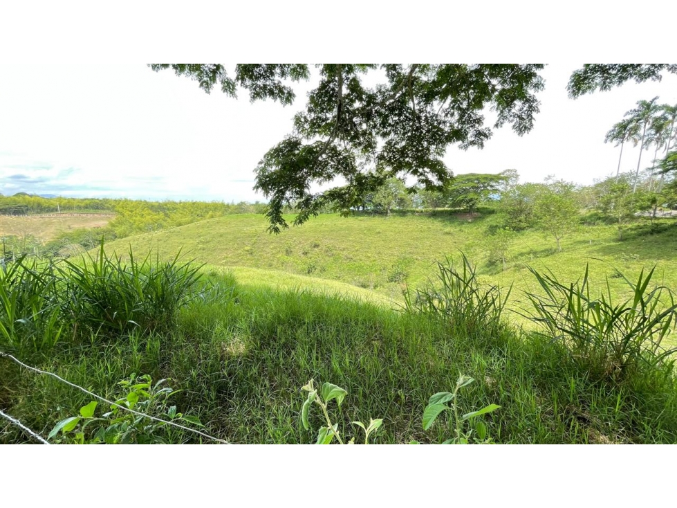 Lote en venta - Cerritos - Risaralda — foto 4