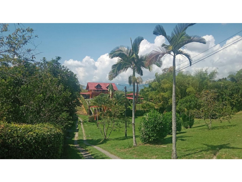 Lote en venta - Vereda Palermo - Neira - 1