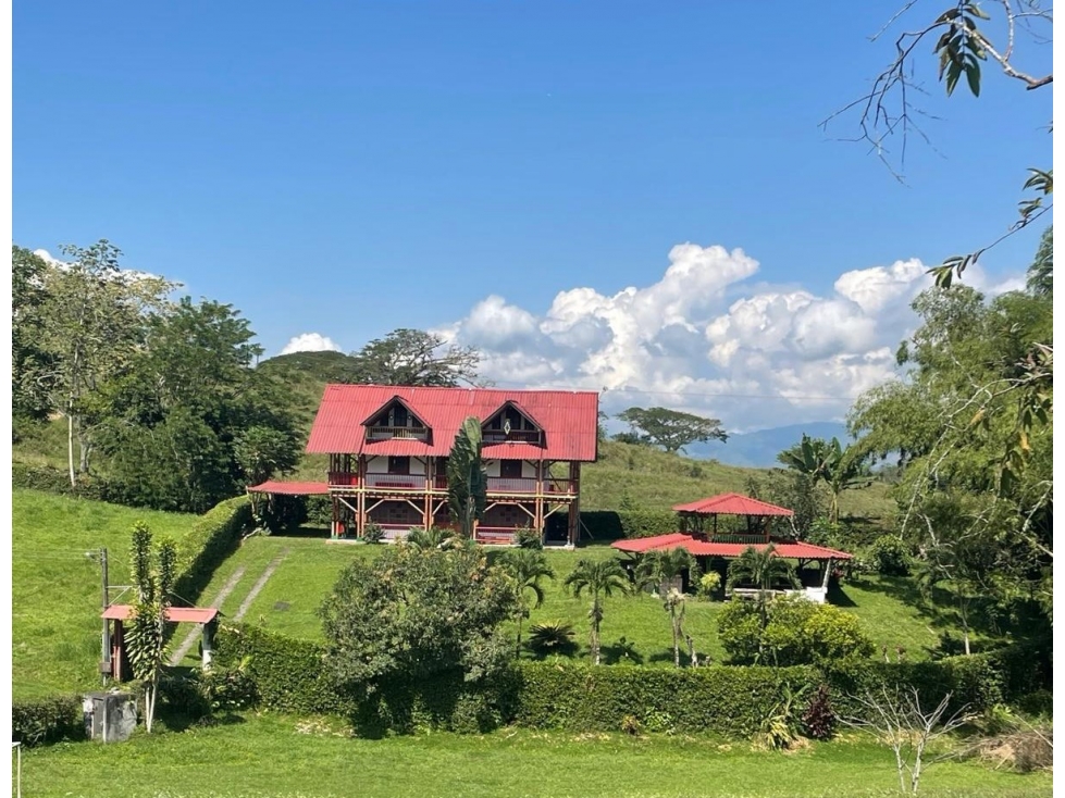Lote en venta - Vereda Palermo - Neira - 4