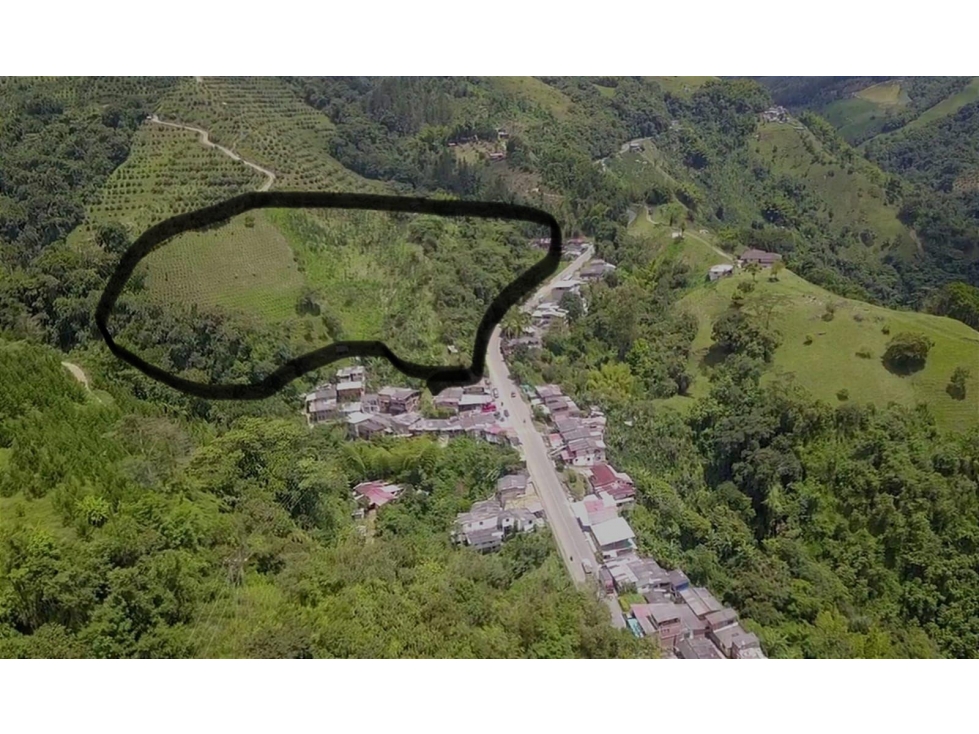 Lote en arriendo - sector El Aguila - Manizales - 4