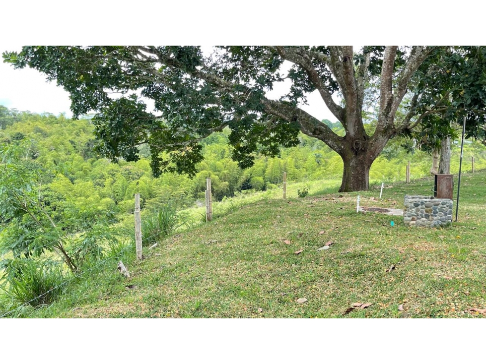 Lote en venta - Cerritos - Risaralda — foto 6