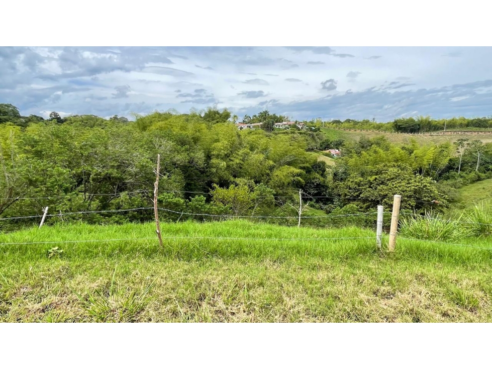 Lote en venta - Cerritos - Risaralda — foto 4