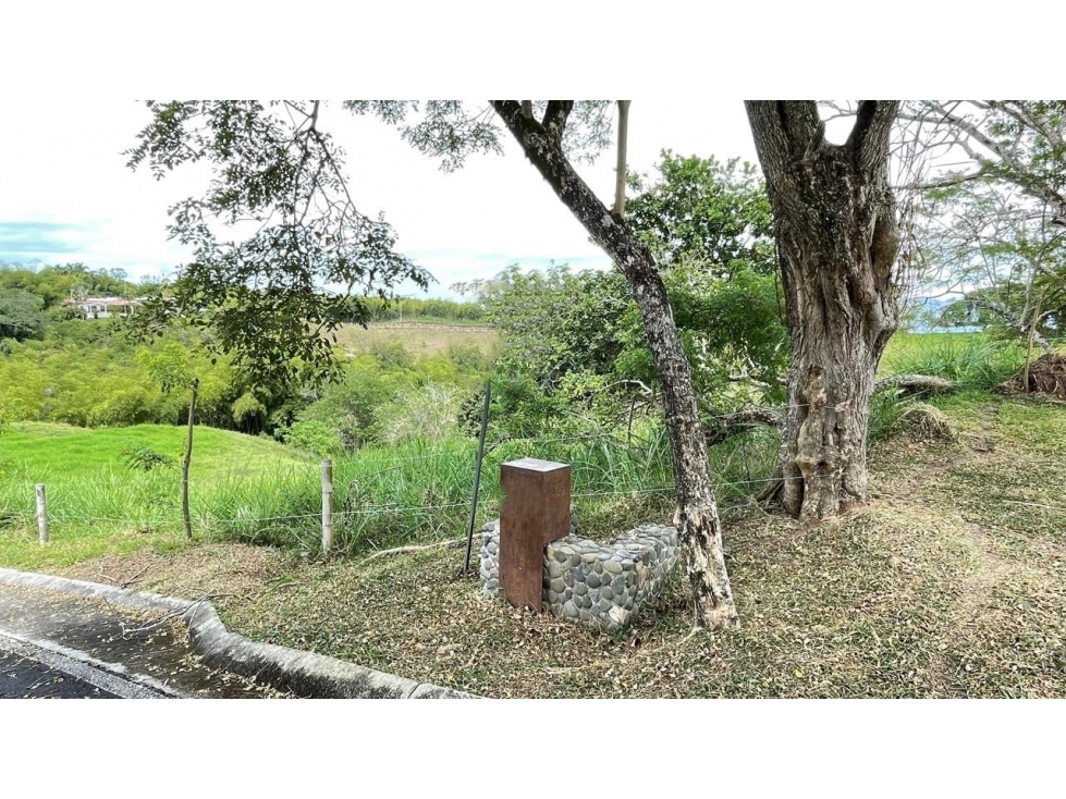 Lote en venta - Cerritos - Risaralda — foto 3