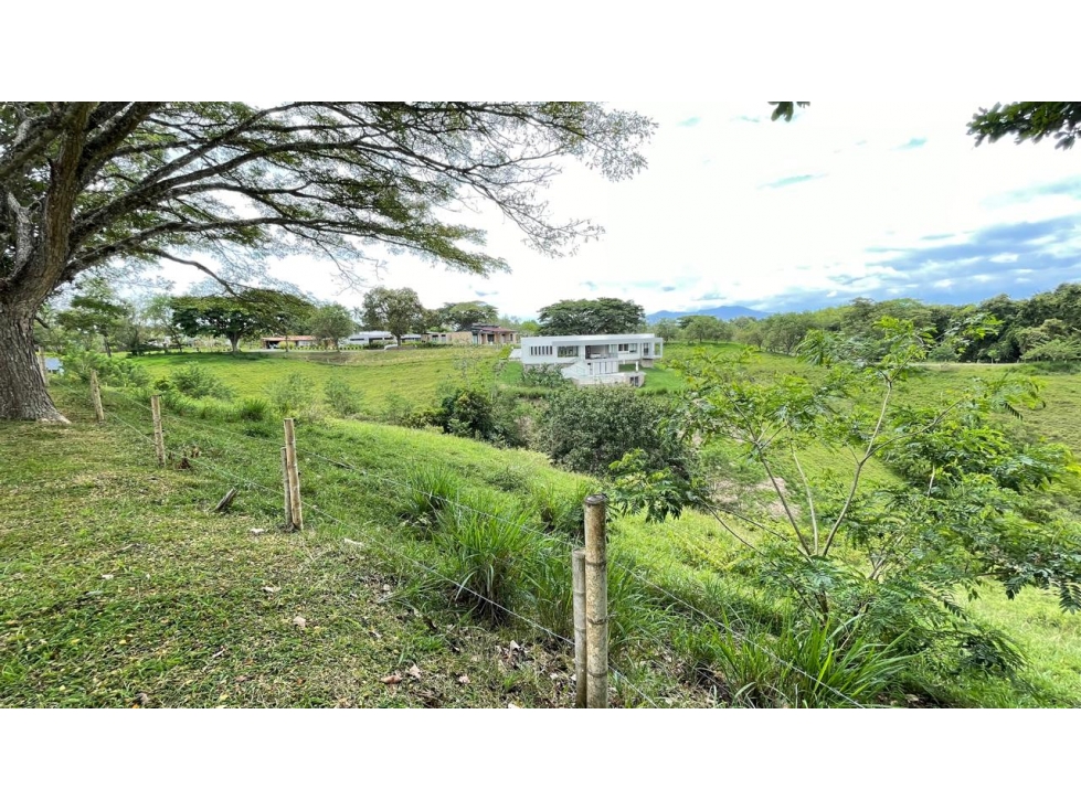Lote en venta - Cerritos - Risaralda — foto 4