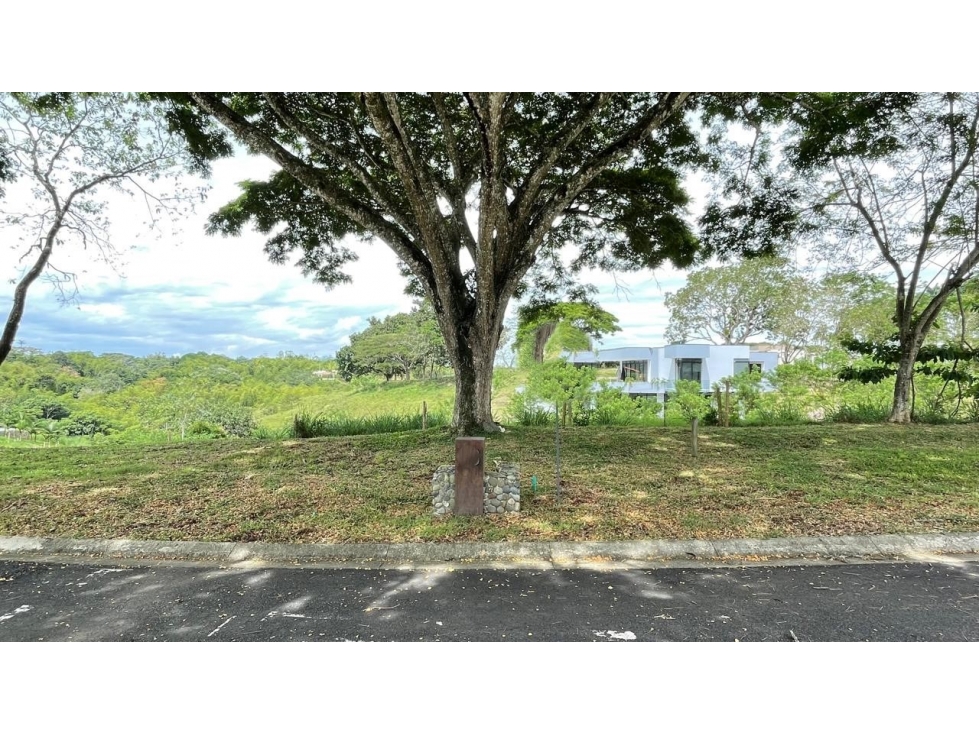 Lote en venta - Cerritos - Risaralda — foto 5