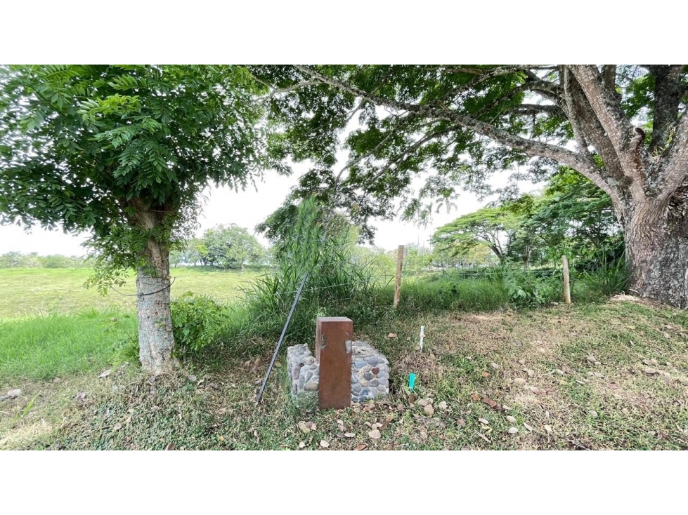 Lote en venta - Cerritos - Risaralda — foto 3