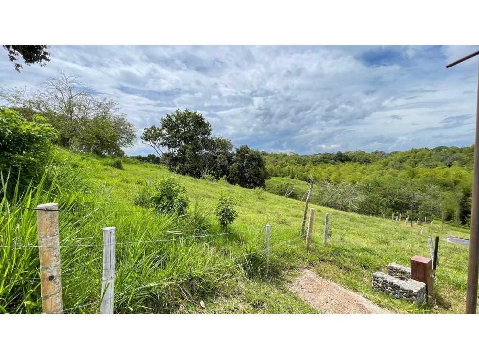 Lote en venta - Cerritos - Risaralda — foto 6