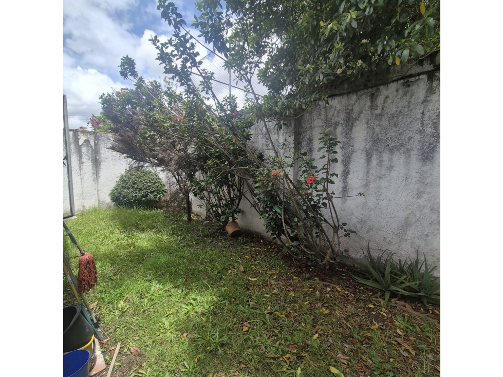 Casa de 1 solo piso para remodelar con uso de vivienda o comercial — foto 5