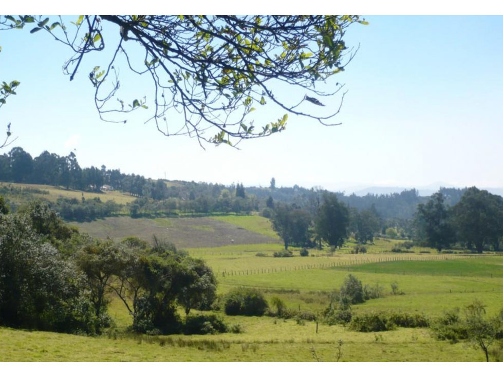BOYACA VENTA FINCA GANADERA 62 FANEGADAS - 1