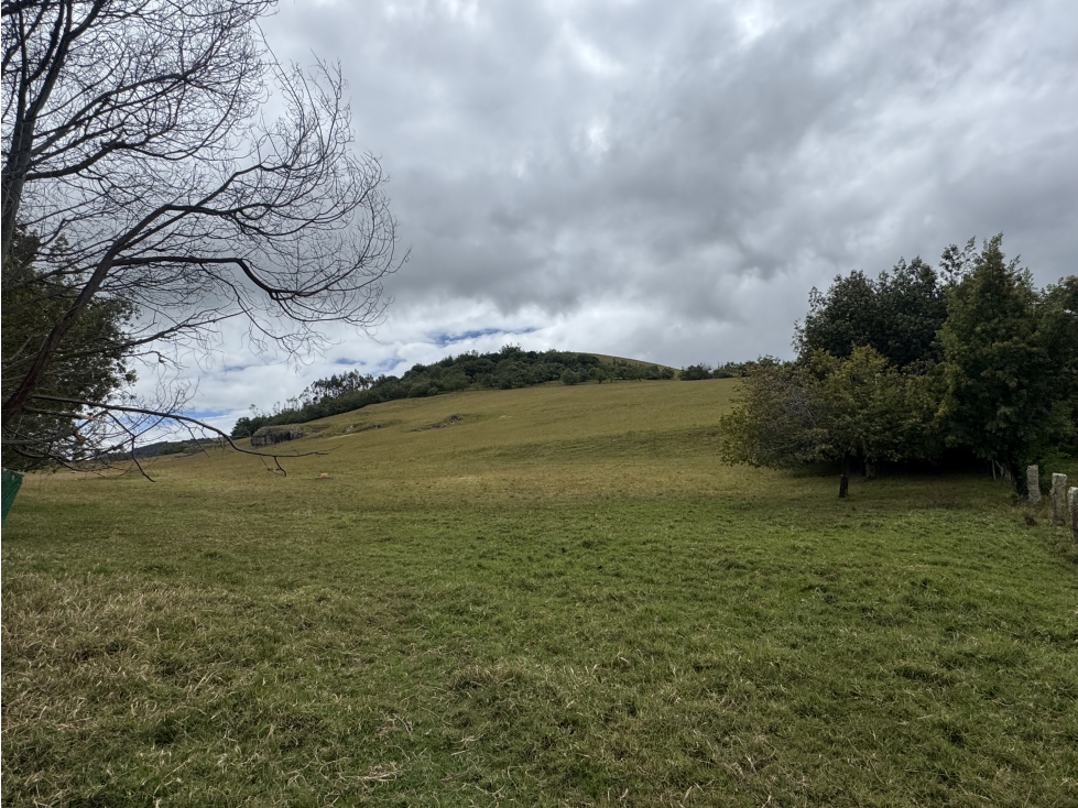 VENDO FINCA EN limites SUESCA - NEMOCON 40 HA 1200 MILLONES - 2
