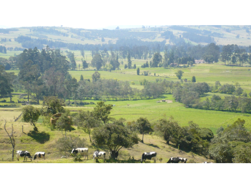 BOYACA VENTA FINCA GANADERA 62 FANEGADAS - 3