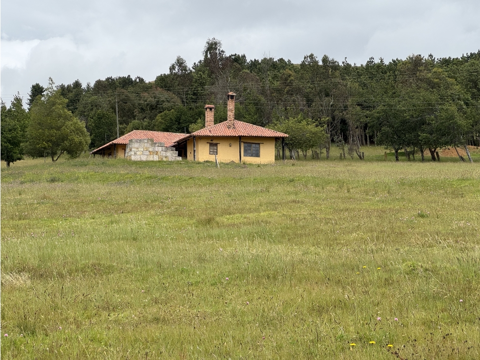 VENDO FINCA EN limites SUESCA - NEMOCON 40 HA 1200 MILLONES - 1