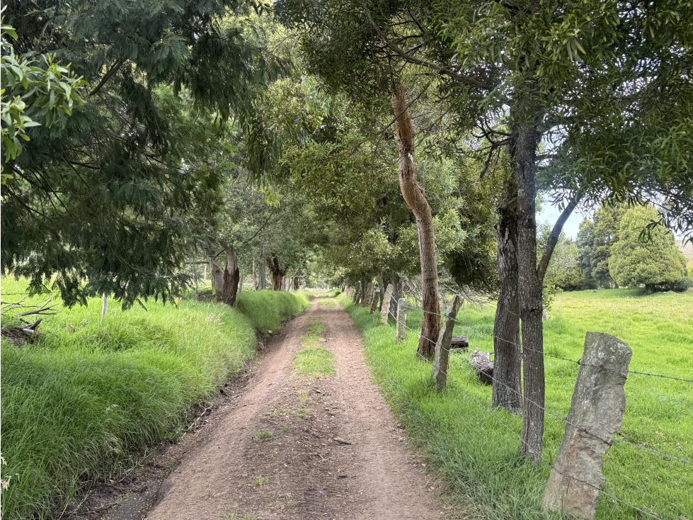 VENDO FINCA EN limites SUESCA - NEMOCON 40 HA 1200 MILLONES - 4