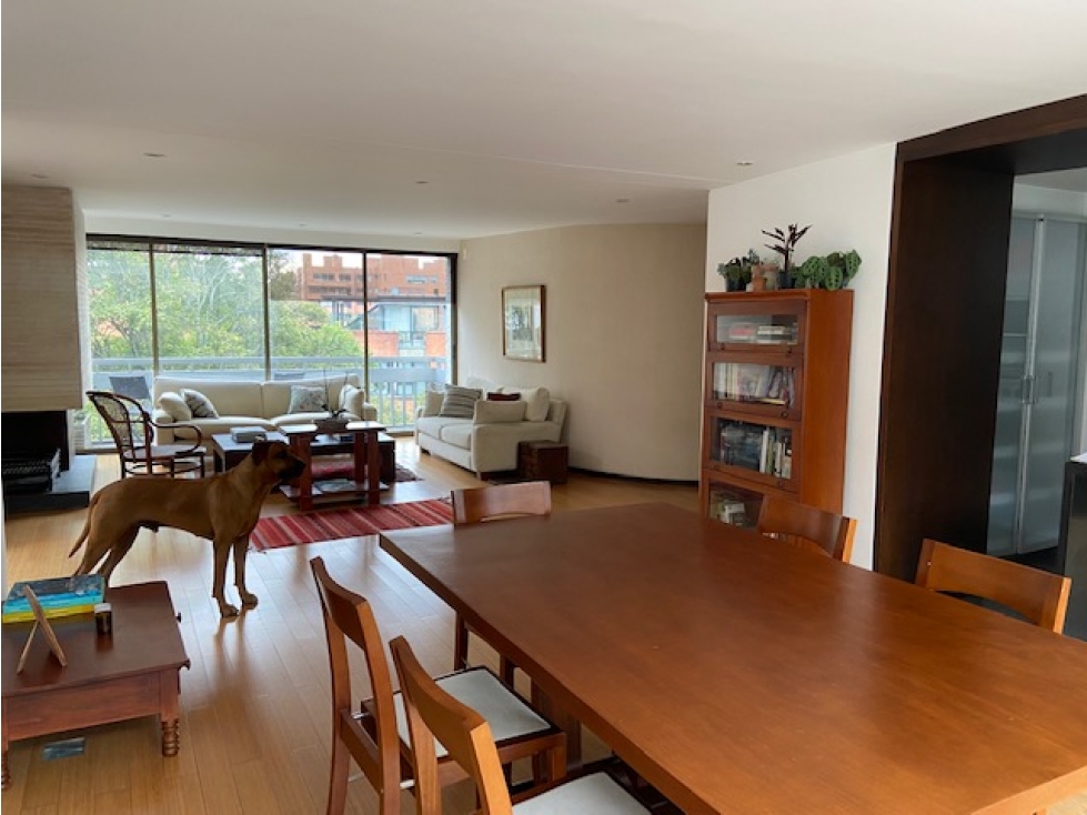 VENTA ROSALES - 181 MTS2 - BALCON 7 MTS $1.100.000.000 — foto 5