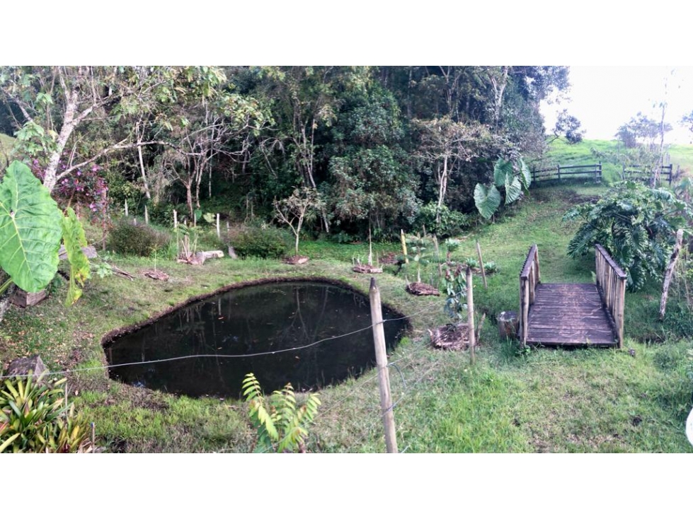 Venta Lote, Parcelaciòn Campestre Sector La Ceja- San Antonio — foto 4