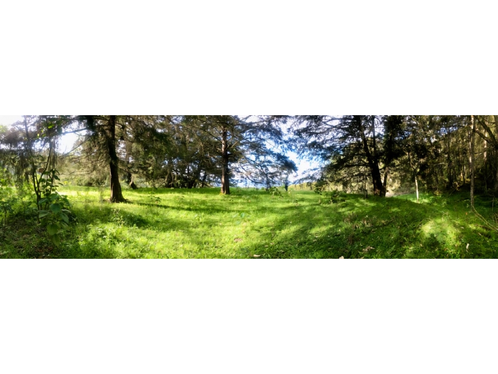 VENTA LOTE EXCLUSIVO SECTOR, PONTEZUELA PARTE ALTA, RIONEGRO — foto 6