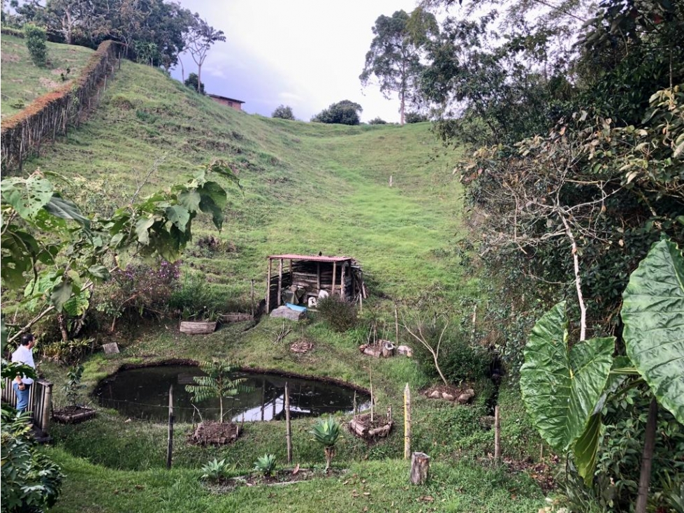 Venta Lote, Parcelaciòn Campestre Sector La Ceja- San Antonio — foto 5