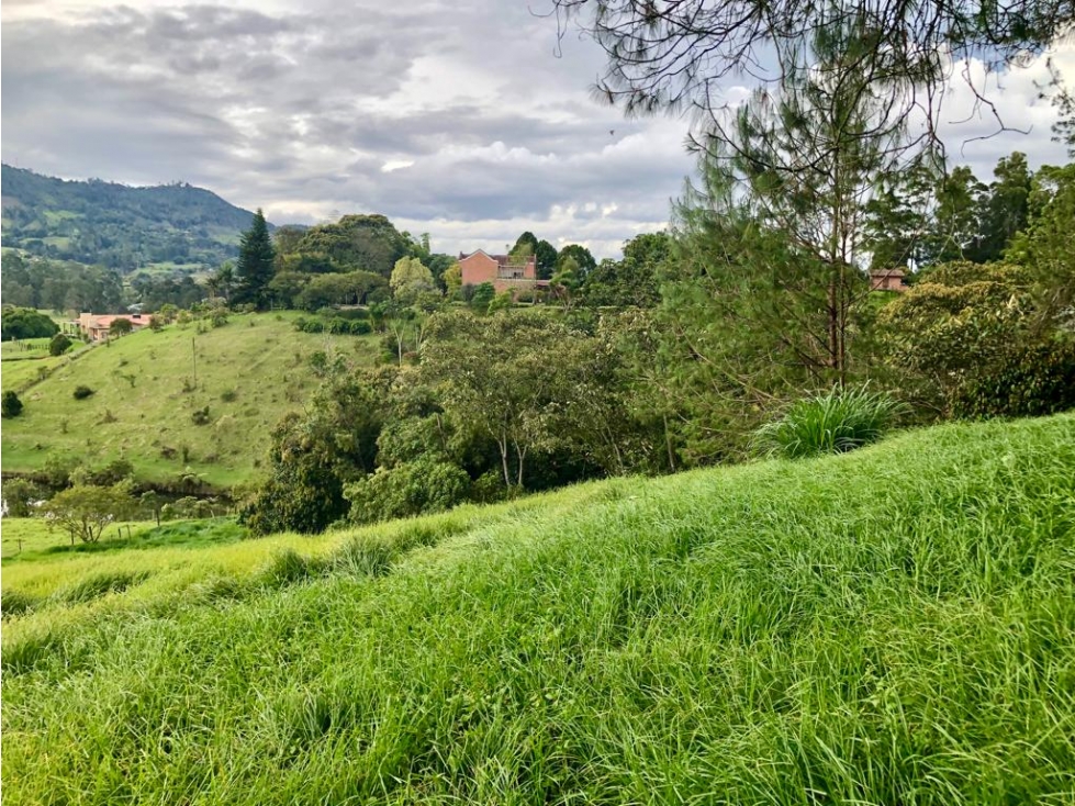 Venta Lote, Parcelaciòn Campestre Sector La Ceja- San Antonio — foto 3