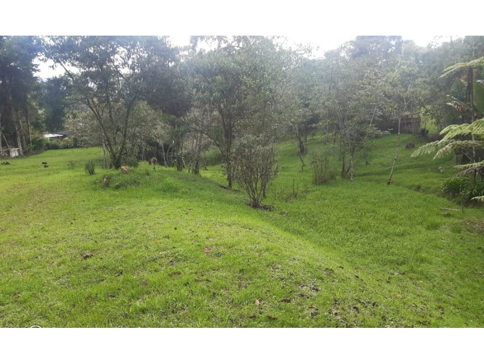 VENTA LOTE UNIDAD CERRADA, SECTOR SAN ANTONIO-LA CEJA — foto 2
