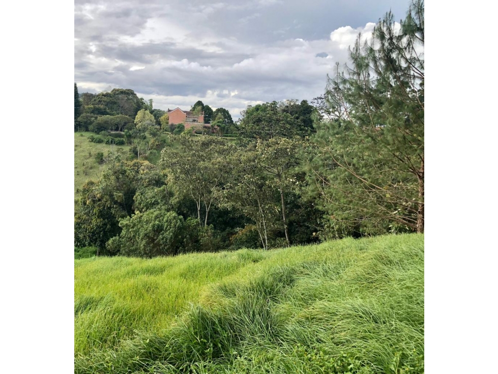 Venta Lote, Parcelaciòn Campestre Sector La Ceja- San Antonio — foto 6