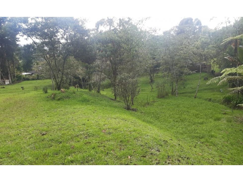 VENTA LOTE UNIDAD CERRADA, SECTOR SAN ANTONIO-LA CEJA — foto 6