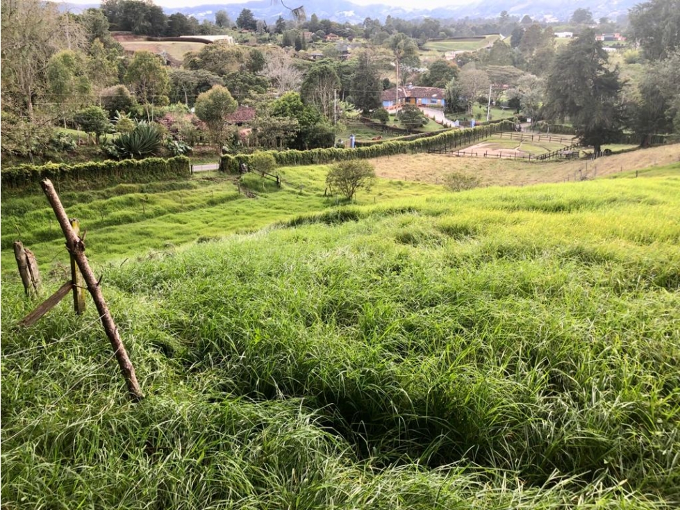Venta Lote, Parcelaciòn Campestre Sector La Ceja- San Antonio — foto 2