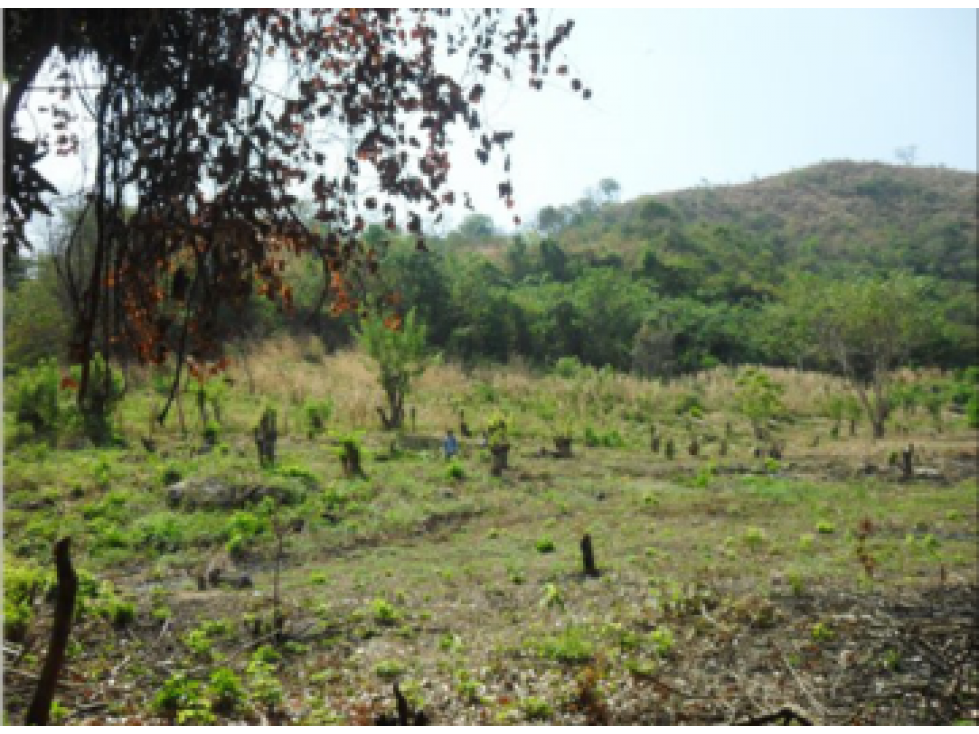 VENDO FINCA DE 97 Ha. VIA FUNDACIÓN MAGDALENA - 1