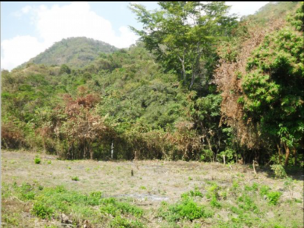 VENDO FINCA DE 97 Ha. VIA FUNDACIÓN MAGDALENA - 3