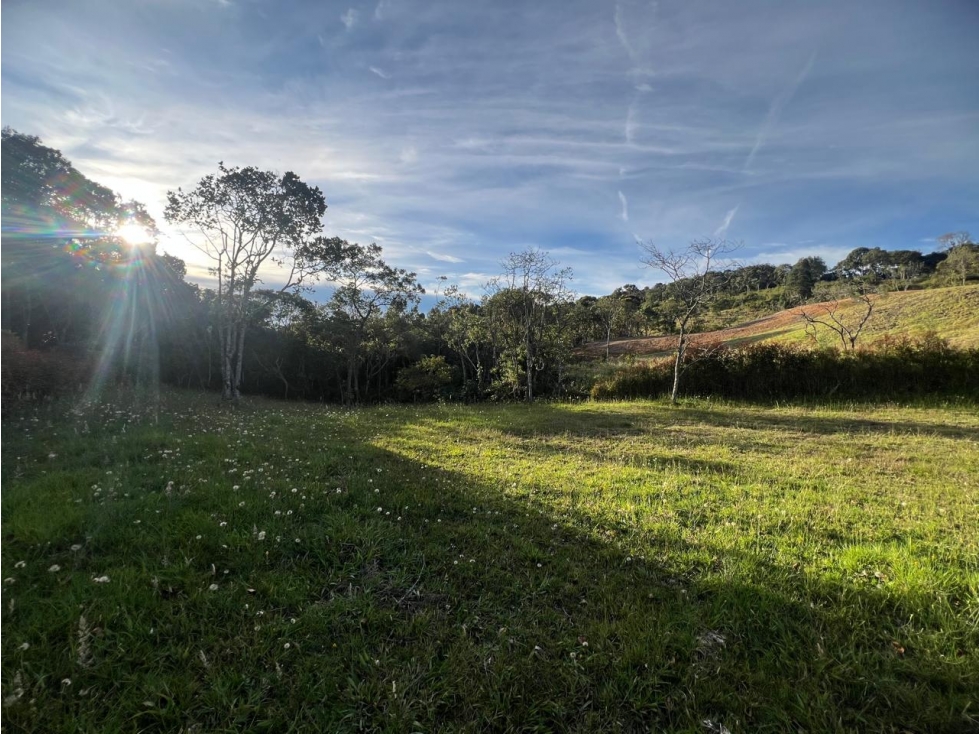 VENDO HERMOSO LOTE EN EXCLUSIVA PARCELACION ALTO DE LAS PALMAS — foto 2