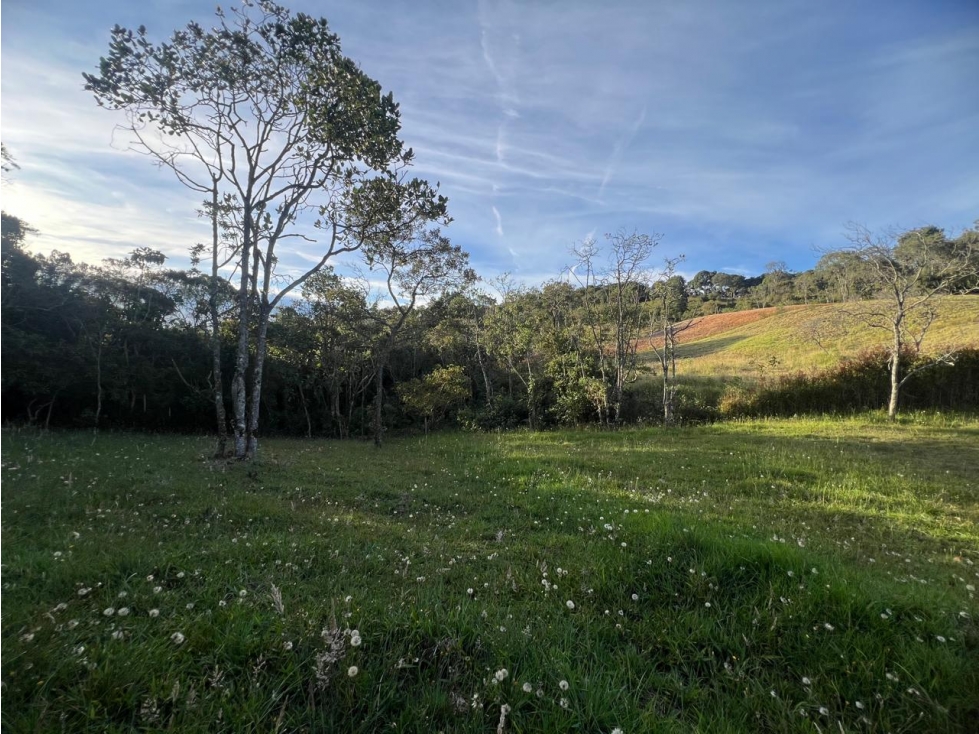 VENDO HERMOSO LOTE EN EXCLUSIVA PARCELACION ALTO DE LAS PALMAS