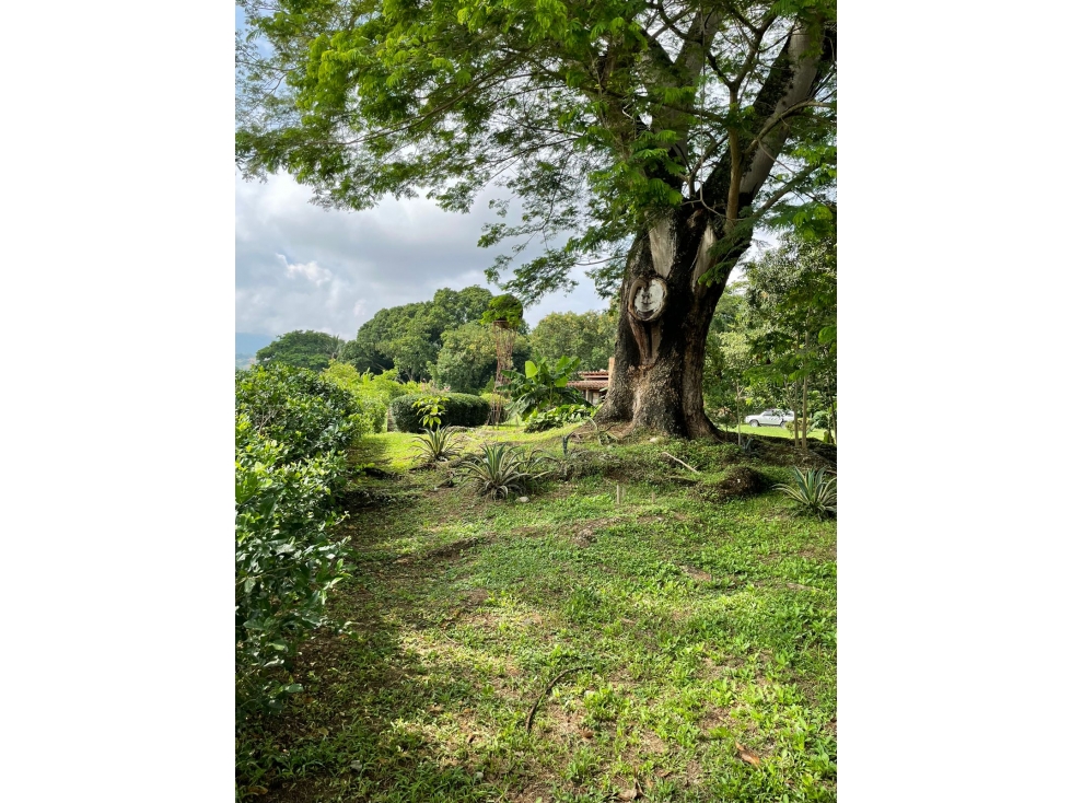 Venta Finca via Santafé de Antioquia 4.374 mts2 de lote 100 mts2 const — foto 6