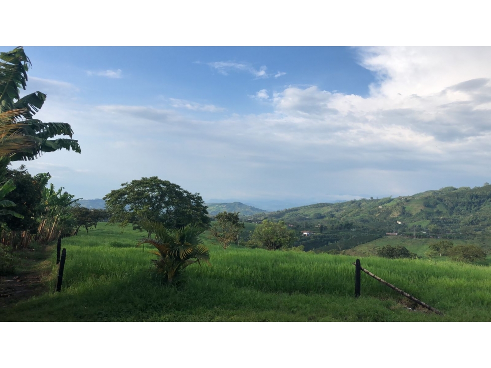 Venta Finca Santa Rosa de Cabal 211200 Mts2 (33 cuadras) — foto 2