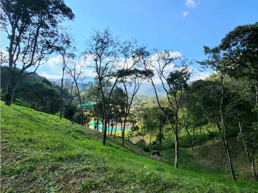 Venta Lote unidad cerrada Don Diego El Retiro 5.496 Mts2 — foto 5