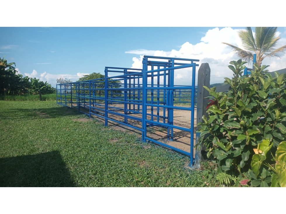 Venta Finca Santa Rosa de Cabal 211200 Mts2 (33 cuadras) — foto 4