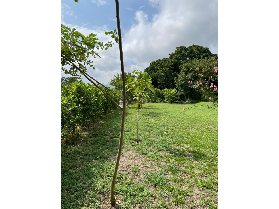 Venta Finca via Santafé de Antioquia 4.374 mts2 de lote 100 mts2 const — foto 2