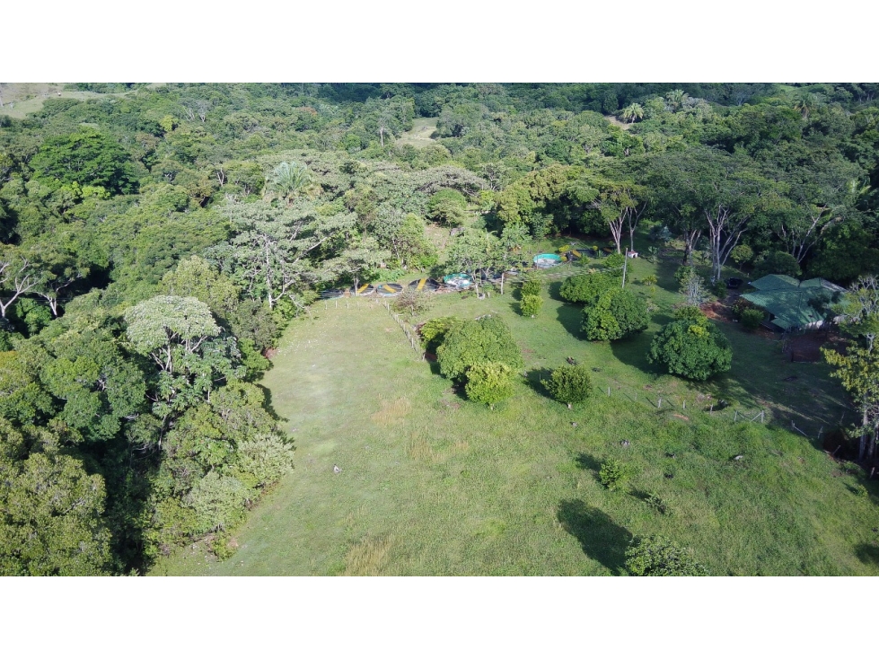 Venta Finca Productiva Mariquita 14 HA - 6