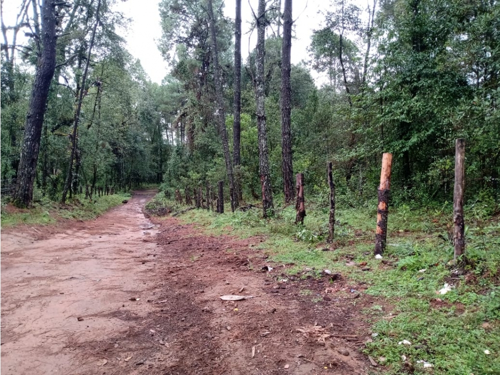 TERRENO LAS TROJES — foto 2