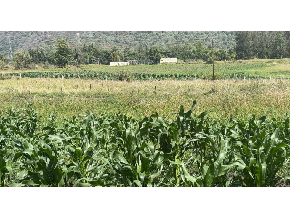 TERRENO SANTA TERESA TILOXTOC