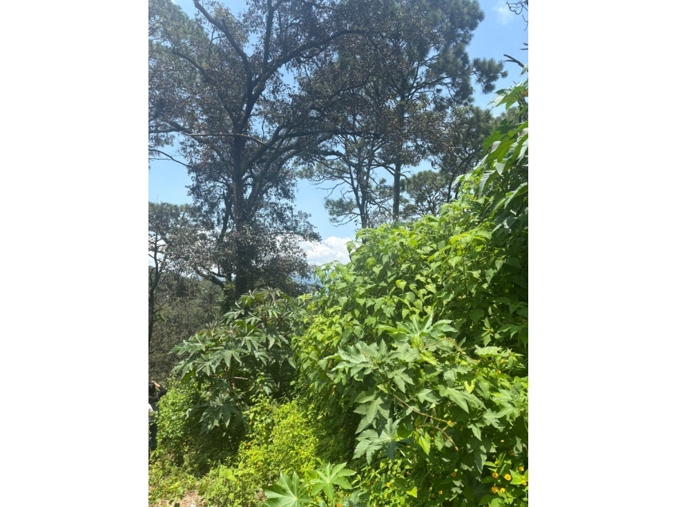 TERRENO EN AVANDARO A UN COSTADO DEL VELO DE NOVIA — foto 6