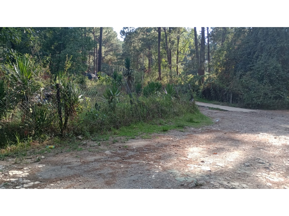 TERRENO CERRO GORDO — foto 3