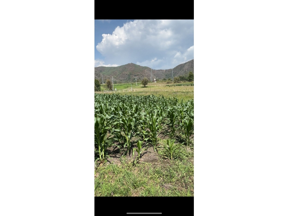 TERRENO SANTA TERESA TILOXTOC — foto 2