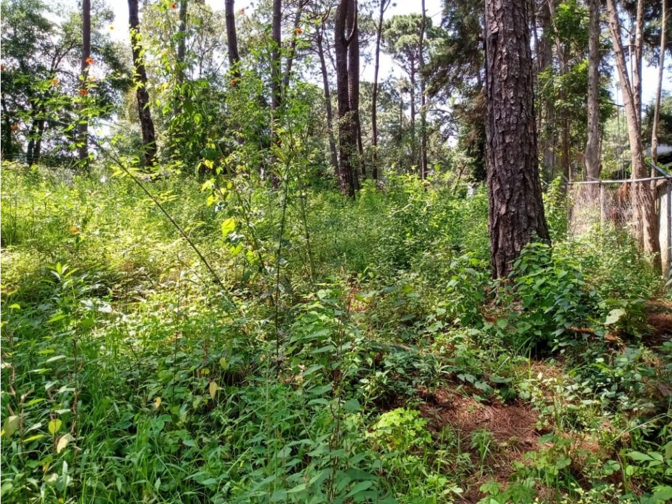 TERRENO EN CONDOMINIO UBICADO EN AVANDARO - 1