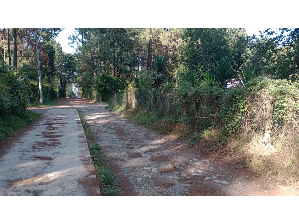 TERRENO CERRO GORDO — foto 2