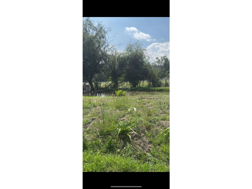 TERRENO SANTA TERESA TILOXTOC — foto 3