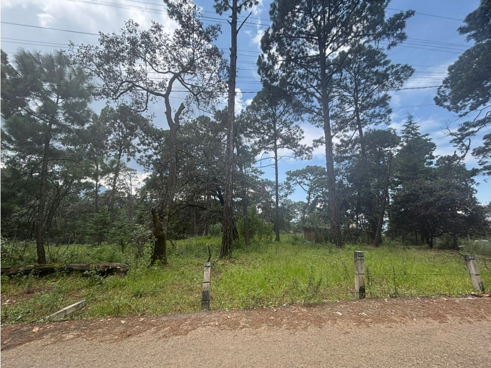 TERRENO EN VALLE VIEJO — foto 5