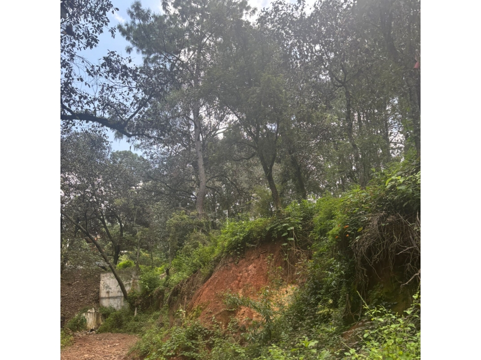 TERRENO EN AVANDARO VELO DE NOVIA — foto 3