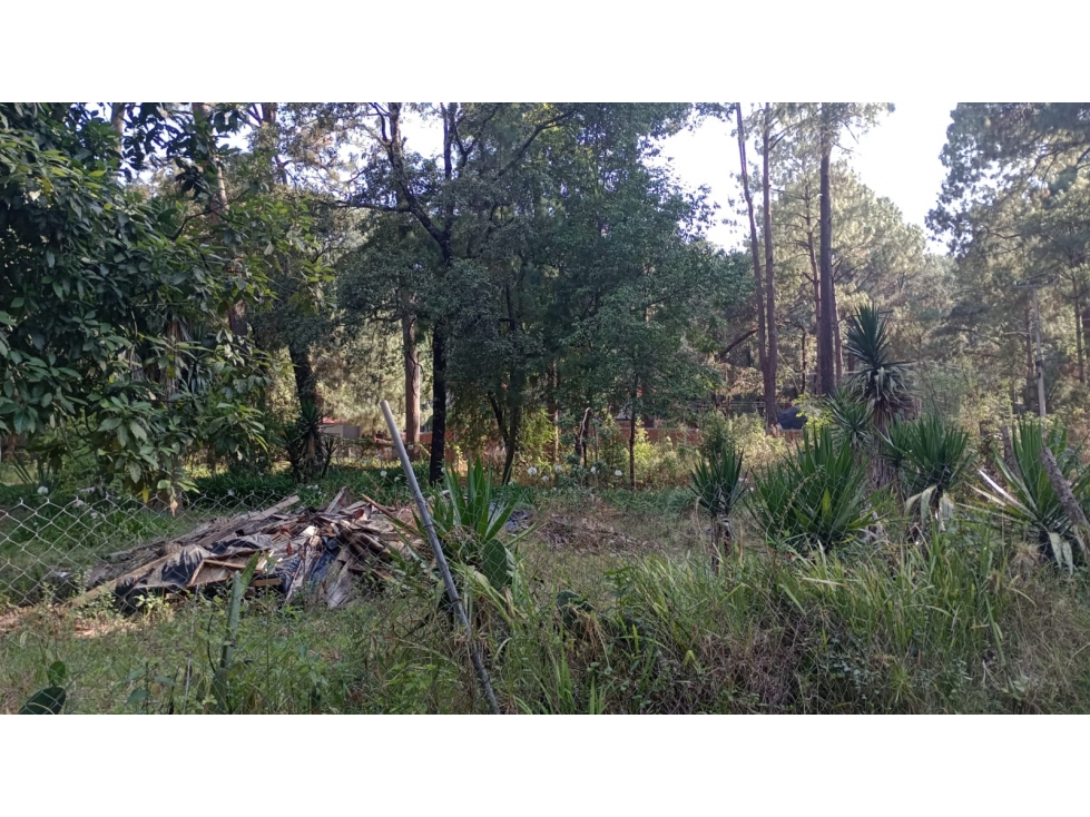 TERRENO CERRO GORDO — foto 4